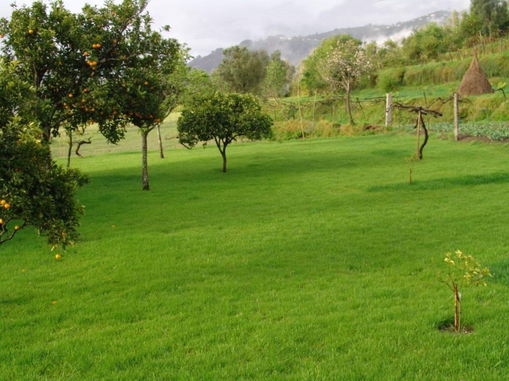 Ferienwohnung Quinta De Santa Marinha Arcos de Valdevez Exterior foto
