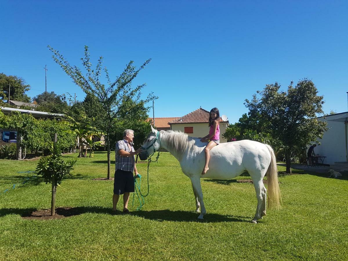 Ferienwohnung Quinta De Santa Marinha Arcos de Valdevez Exterior foto